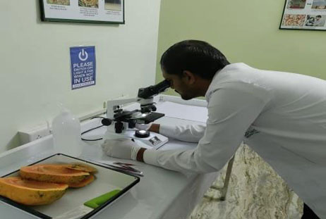 Plant-Athology-lab-work-2